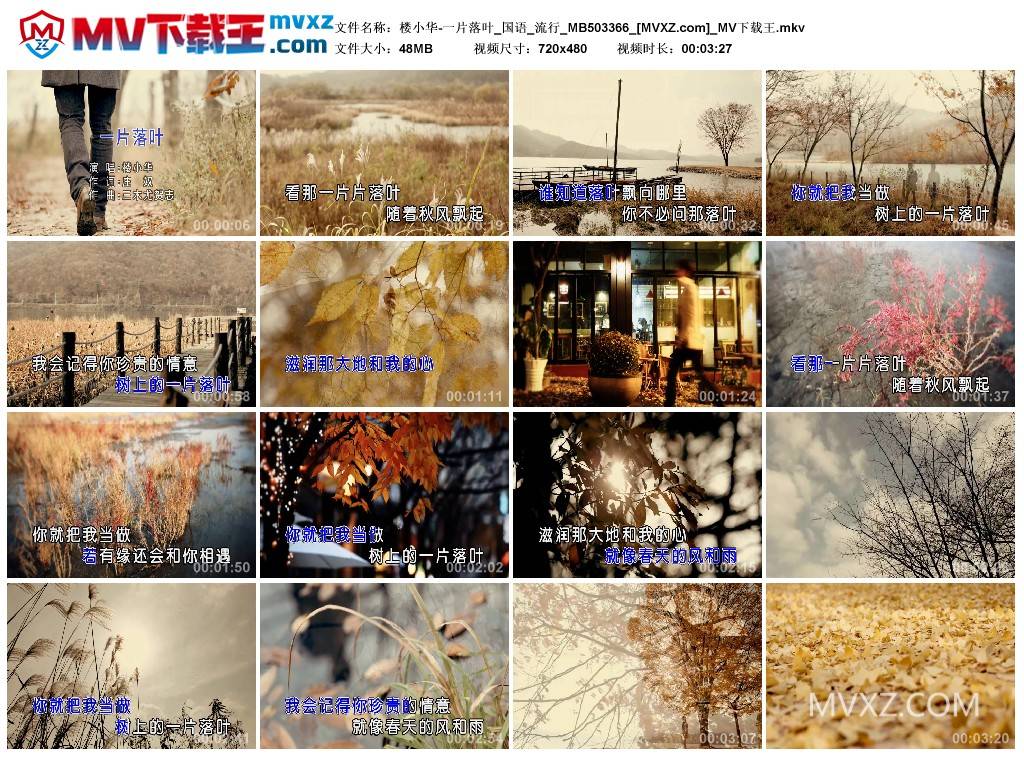 楼小华-一片落叶_国语_流行_MB503366